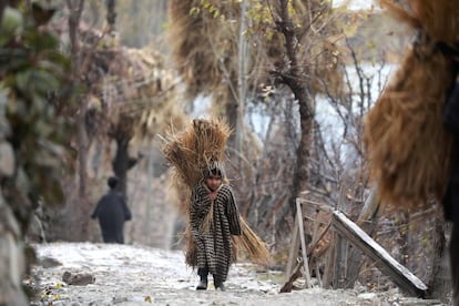 Un niño carga paja a su espalda mientras camina por las colinas en Kangan, en el centro de Cachemira (India).