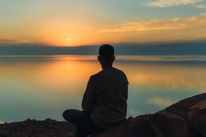 Transecología propone una mirada que se atreve a imaginar nuevas formas de ser, de saber y de habitar el mundo.