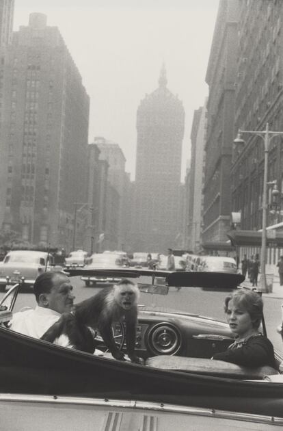 Park Avenue, New York, 1959. Gelatina de plata. Collection National Gallery of Art, Washington, Patrons’ Permanent Fund; cortesía National Gallery of Art, Washington.