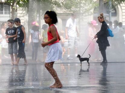 Perros y gatos: la conquista del agua