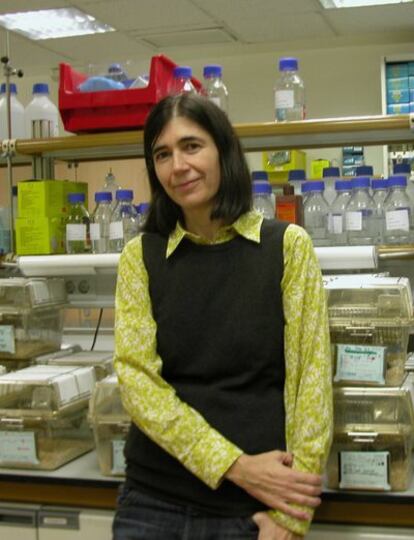 María A. Blasco, directora del Programa de Oncología Molecular del CNIO.