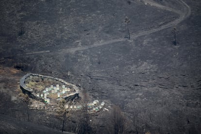 Vista general de la zona afectada por el fuego de Folgoso do Courel (Lugo), el 20 de julio. 