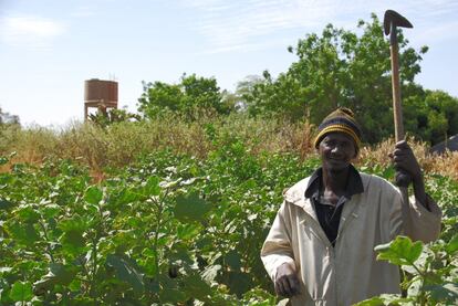 La población de Pallene, en Senegal, ha vivido una revolución verde en el último año. A raíz de la construcción de un nuevo pozo de agua y un depósito elevado han podido mantener la actividad agrícola más allá de los meses de lluvia. Aquí, un campesino orgulloso de sus hortalizas.