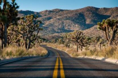 Una carretera recorre el parque nacional de Joshua Tree, en California.