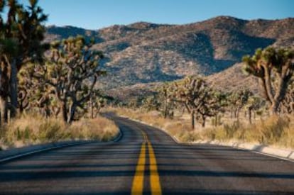 Una carretera recorre el parque nacional de Joshua Tree, en California.