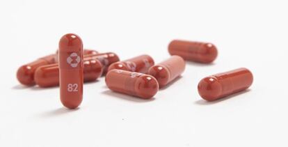 Pastillas del antiviral molnupiravir, desarrollado por Merck.