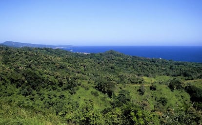 Una imagen de la isla hondureña de Roatán.
