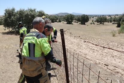 Efectivos del cuerpo de bomberos acuden al lugar donde una persona ha muerto este martes al estrellarse una avioneta cerca de Mérida, en las proximidades del embalse de Proserpina.