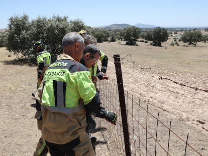 Efectivos del cuerpo de bomberos acuden al lugar donde una persona ha muerto este martes al estrellarse una avioneta cerca de Mérida, en las proximidades del embalse de Proserpina.