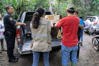 Momento en el que la policía ecológica, junto con la ARA, hacen entrega a los cuidadores del centro de rescate URKU de un tigrillo encontrado desnutrido en una carretera.