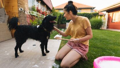 Cuentan con fórmulas veganas e hipoalergénicas que hidratan la piel de tu mascota. GETTY IMAGES.