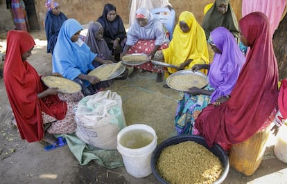 La iniciativa CARI también forma a las mujeres que procesan el arroz de manera tradicional para que el producto final sea de mejor calidad. En un pequeño patio al aire libre de la localidad de Jega, a la sombra de un árbol, 13 mujeres se afanan separando los granos y moviéndolos entre varias ollas de gran tamaño. Hadiza Adamu es la presidenta de este grupo de mujeres. “Nos han enseñado a hacerlo al baño maría, eso requiere menos agua y menos fuego, el arroz queda mejor y el proceso es más rápido”, asegura.