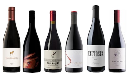 vinos syrah