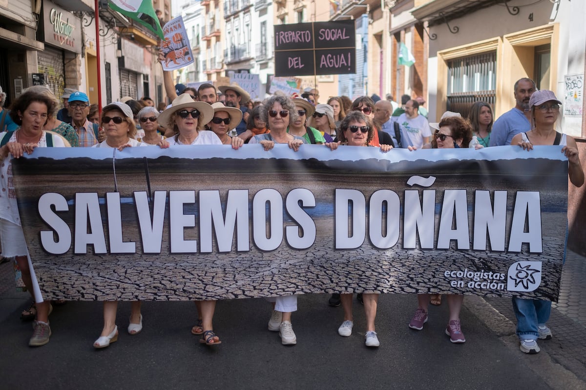 Miles de personas claman en Sevilla contra la ley de la derecha ...