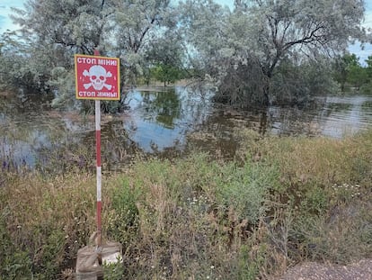 Una señal advierte del peligro de minas en una zona inundada en los alrededores de la presa de Nova Kajovka, el 8 de junio.