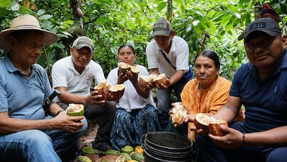 Concepción Yat Rax, junto a cacaoteros de la asociación ASIPASM, con su nueva cosecha para exportación.
