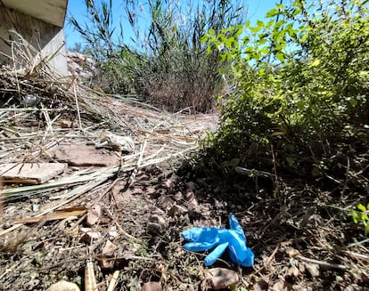 Lugar de Gandía (Valencia) donde se encontró el cuerpo de la mujer desaparecida.