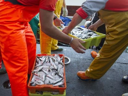 Trabajadores en el puerto de Vigo 