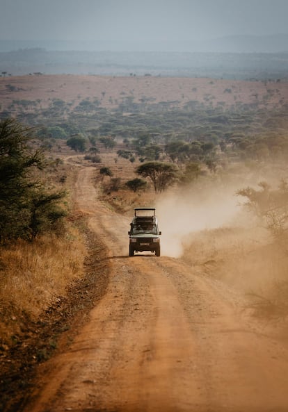 Un 4x4 recorre en un safari el parque.