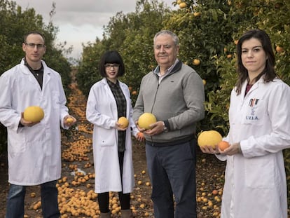 Los investigadores Antonio L&oacute;pez, Estela P&eacute;rez, Manuel Tal&oacute;n y Victoria Ib&aacute;&ntilde;ez, en el IVIA.