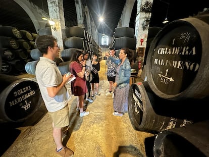 Visita de los alumnos de 'Masterñam', de la Universidad de Cádiz, de ediciones anteriores visitando una bodega de Jerez.