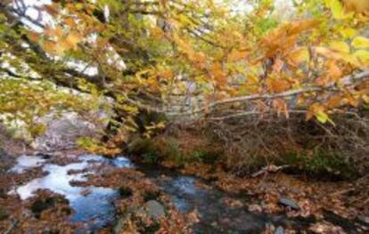 Los matices ocres, morados y rojos se mezclan en el paisaje de Tejera Negra.