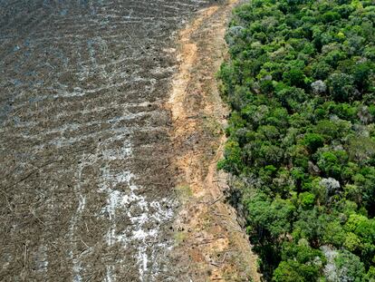 Esta foto de archivo del 7 de agosto de 2020 muestra una vista aérea de un área deforestada cerca de Sinop, estado de Mato Grosso, Brasil.