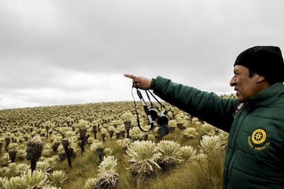 Carlos Mainagüez, miembro de la guardia ambiental de la Comuna Ancestral de Indígenas Pasto La Libertad, participa en un recorrido por el páramo. Los defensores protegen las 3.300 hectáreas de su territorio comunal que pertenecen a la Reserva Ecológica El Ángel, en el extremo norte de Ecuador.