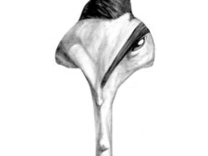 Pau Gasol