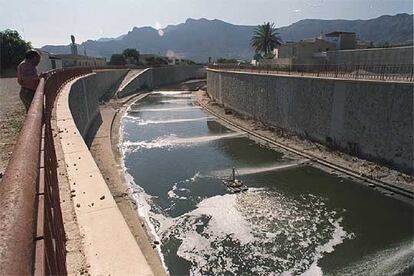 El río Segura a su paso por Orihuela.