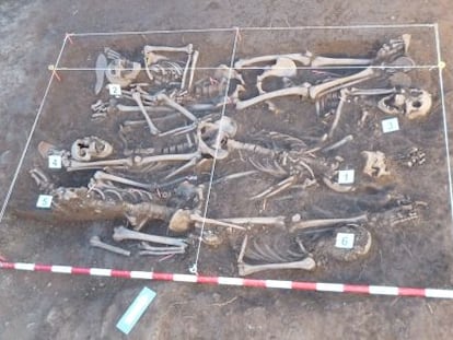 Exhumación de seis de los 10 fusilados en Barcones (Soria) llevada a cabo en julio de 2013 por el antropólogo forense Francisco Etxeberria.