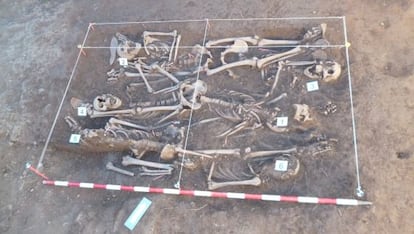 Exhumación de seis de los 10 fusilados en Barcones (Soria) llevada a cabo en julio de 2013 por el antropólogo forense Francisco Etxeberria.