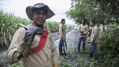 Un grupo de corteros de caña de la finca Providencia en las inmediaciones del centro de formación.