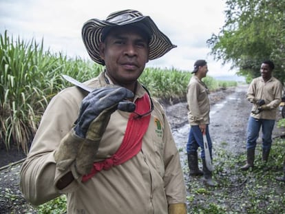 Un grupo de corteros de caña de la finca Providencia en las inmediaciones del centro de formación.