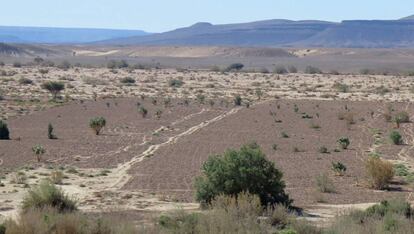 El desierto de Marruecos.