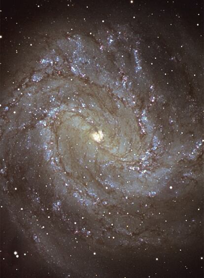 La galaxia Messier 83 (M83) se encuentra en la constelación de la Hidra y es una espectacular galaxia espiral cercana que puede ser observada con prismáticos. Fue descubierta por Pierre Mechain en 1752 desde el cabo de Buena Esperanza y añadida al catálogo de Charles Messier en 1781. Se la conoce también como la galaxia austral del Molinillo. La imagen revela varios colores, desde el amarillo de las estrellas más antiguas en el núcleo, hasta el azul de las más jóvenes en los brazos espirales. También es relevante la presencia de una barra central de cuyos extremos arrancan los brazos espirales. La imagen fue obtenida con la cámara de foco primario del telescopio de 4.2 metros de diámetro William Herschel que se encuentra en el Observatorio del Roque de los Muchachos en la isla de La Palma. Texto: Javier Méndez.