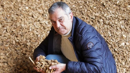 Ángel Marcos Pérez de Arrilucea, alcalde de Sabando (Álava), muestra las virutas de madera que alimentan la calefacción comunitaria de biomasa del municipio.