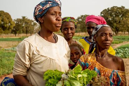 “A mí el jardín me ha ayudado mucho para hacerme cargo de pequeñas necesidades, sobre todo para cuidar de la salud de los niños”. Son palabras de Mariam Coulibaly (a la izquierda), de 50 años, con 10 hijos, tres nietos y la responsabilidad de alimentar cada día a 16 personas.