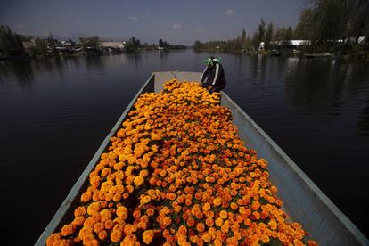 El luchador mexicano Mister Jerry sentado en un bote lleno de flores de caléndula en los famosos jardines flotantes de Xochimilco, en las afueras de la Ciudad de México.