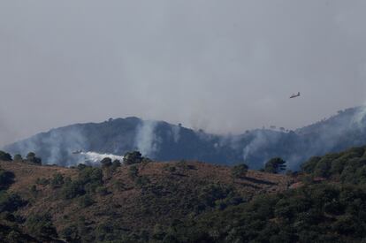Aviones especializados en extinción de incendios sobrevolando la zona de Sierra Bermeja incendiada, este viernes.