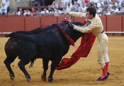Rafael Serna recibe una cornada en la corrida.