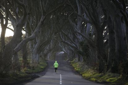 Un corredor por el camino entre árboles de Bregagh Hedges, que se hizo famoso en la serie 'Juego de Tronos', y al que se le ha pintado la línea discontinua por error, en Armoy, Irlanda del Norte.