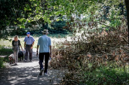 Un grupo de personas pasea por el Parque Arriaga de Vitoria, cubierto de hierba sin segar tras casi tres meses de huelga de jardineros.