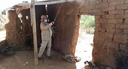 Expertos fumigan las casas de adobe tras una alerta.