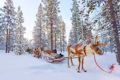 Lo bueno de viajar a Finlandia en invierno es que tendrás la oportunidad de disfrutar de las auroras boreales. La nievey el frío no son un impedimento para los finlandeses y cuenta con numerosas actividades al aire libre como pasear en trineo con huskies, hacer un crucero en un rompehielos o visitar a Papá Noel. Atractivos que llamaron la atención de muchos españoles y que convirtieron a este país nórdico en uno de los diez destinos más reservados en 2016 y 2017.