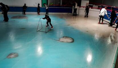 Patinadores en la pista de hielo con peces congelados que ha cerrado por las cr&iacute;ticas recibidas. 