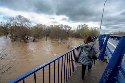 Vista del río Jarama bajo la A-2 a la altura de la localidad de San Fernando de Henares, este viernes. 
