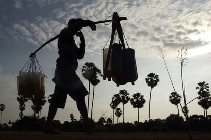 Un hombre cargado con tubos de plástico llenos de jugo de palma camina hacia su casa en la aldea de Samroang en el norte de Phnom Penh, Camboya.