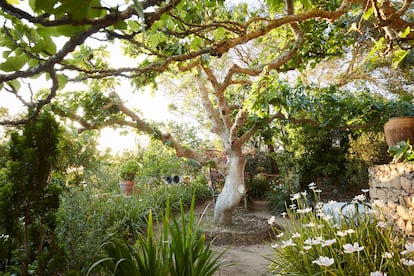 El jardín de Umberto Pasti en Rohuna (Marruecos).