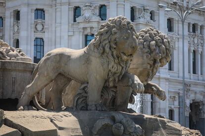 Leones de La Cibeles. 